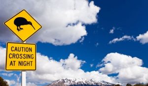 Caution crossing at night sign in New Zealand
